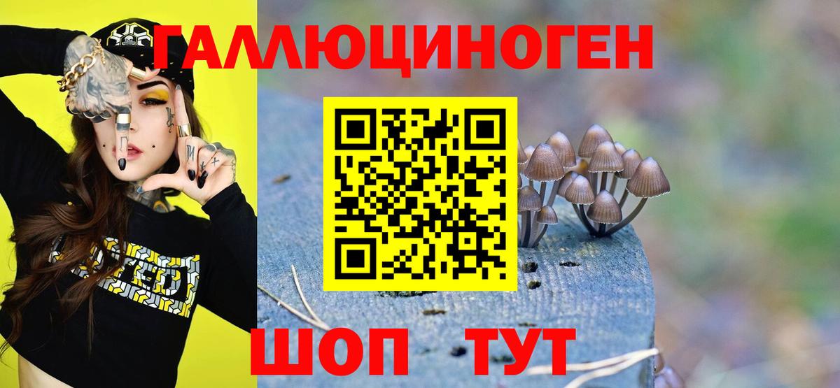 Псилоцибиновые грибы прущие грибы Чебоксары